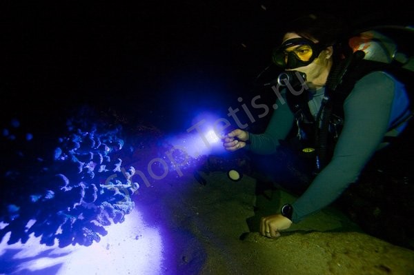Фонарь подводный GoBe 500 NightSea Light and Motion