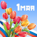 График работы ИМ Тетис на майские праздники
